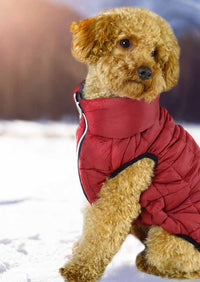 UP PIUMINO PER CANI "POLAR JACKET" ROSSO