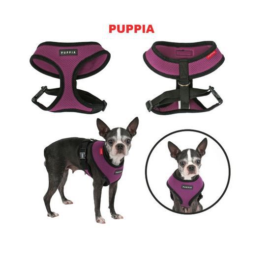 PUPPIA PETTORINA CANE NERA