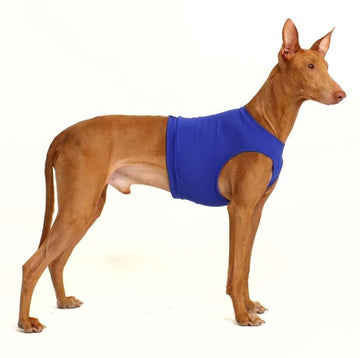 BLUE "SOFA STRETCH" COURSING T-SHIRTS/GUALDRAPPE FOR PLI, WHIPPET, GREYHOUND