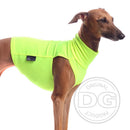 „DG SAFETY LIGHT UNDERWEAR“ HOCHSICHTBARES T-SHIRT GELB FÜR PLI, WHIPPET, GREYHOUND-2