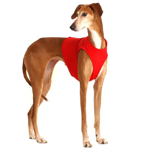 T-SHIRTS/GUALDRAPPE COURSING "SOFA STRETCH" FÜR PLI, WHIPPET, WINDHUND