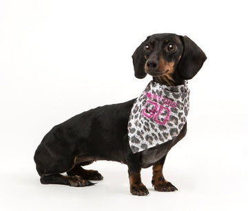 BANDANA CANE I LOVE MY DOG LEOPARD