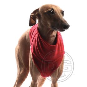 "DG UNDERWEAR EXTRA WARM" DARK RED T-SHIRT FOR PLI, WHIPPET, GREYHOUND