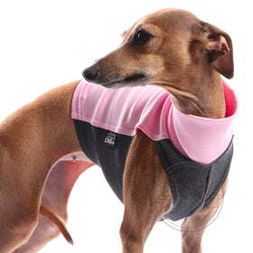 PINK "DG COTTON UNDERWEAR LUXURY" COTTON T-SHIRT PLI, WHIPPET, GREYHOUND