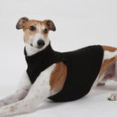 BLACK "DG UNDERWEAR EXTRA WARM" T-SHIRT FOR PLI, WHIPPET, GREYHOUND-2