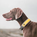 HURTTA ADVENTURE SOLE DOG COLLAR-2