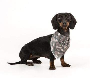 BANDANA CANE I LOVE MY DOG CAMO