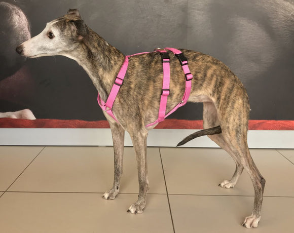 HAQIHANA DOUBLE H PINK ANTI-FUGE HARNESS