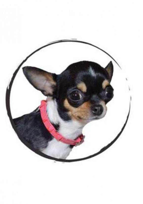 ÖKO-LEDER-HUNDEHALSBAND DVS MIT NIETEN 25 CM FUCHSIA