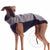 GRAY "DG OUTDOOR SOFT SHELL TOP" T-SHIRT FOR PLI, WHIPPET, GREYHOUND
