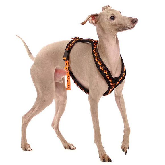 BLACK PADDED PLI HARNESS WITH ORANGE PAWS