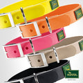 HIGH VISIBILITY WATER REPELLENT DOG COLLAR