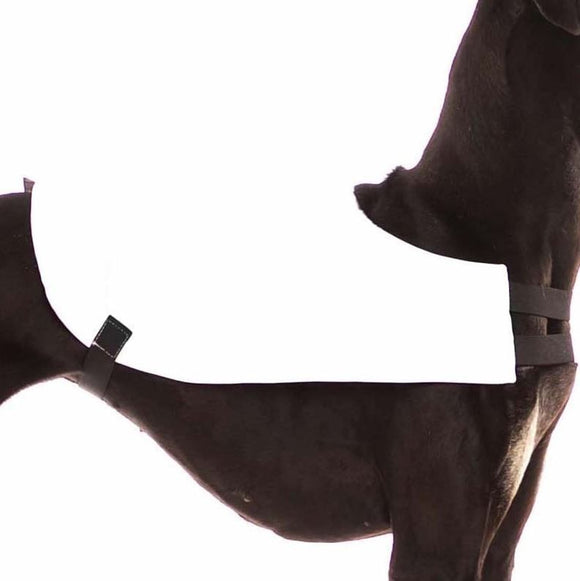 "SOFT SOFA" COURSING CAPES/CUALDRAPPE FOR PLI, WHIPPET, SIGHThound