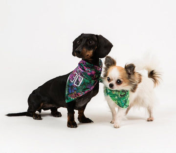 BANDANA CANE I LOVE MY DOG JUNGLE