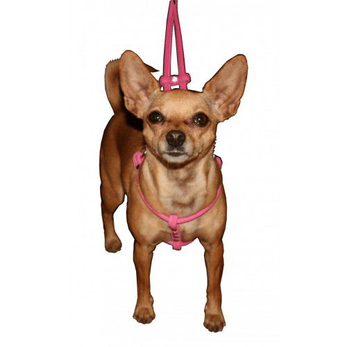 HIP DOGGIE HUNDEGESCHIRR CHARM STEP-IN ROSA MIKROWILDLEDER
