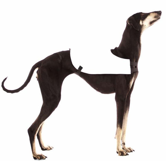 "SOFT SOFA" COURSING CAPES/CUALDRAPPE FOR PLI, WHIPPET, SIGHThound