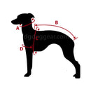 RENNSHIRTS/GUALDRAPPE SET FÜR PLI, WHIPPET, GREYHOUND-4