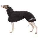 SCHWARZER WINTERMANTEL "SOFA ELVIS" FÜR WHIPPET-4