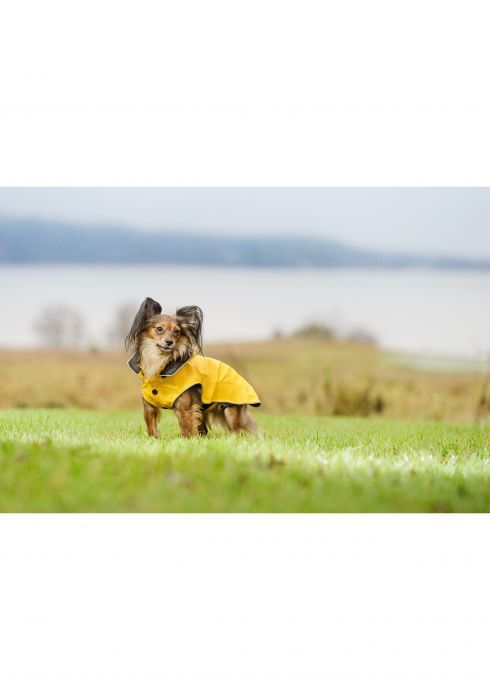 RUKKA IMPERMEABILE PER CANI "STREAM RAINCOAT" GIALLO