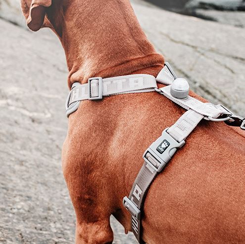 HURTTA PETTORINA CANE ADVENTURE OMBRA