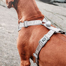 HURTTA PETTORINA CANE ADVENTURE OMBRA-3